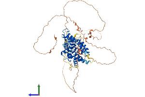 AlphaFold protein structure predicition of Human Recombinant NR4A1 Protein, UniprotID P22736