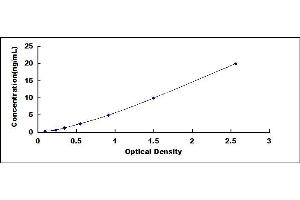 Typical standard curve (CNGA3 Kit ELISA)