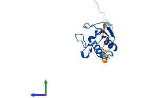 AlphaFold protein structure predicition of Mouse Recombinant Srp19 Protein, UniprotID Q9D7A6