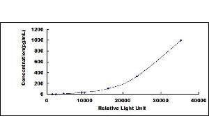 ELISA image for Interleukin 28B (Interferon, lambda 3) (IL28B) CLIA Kit (ABIN1081692)