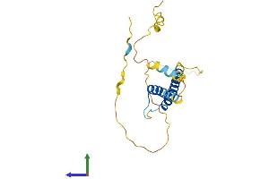 AlphaFold protein structure predicition of Human Recombinant BHLHA15 Protein, UniprotID Q7RTS1