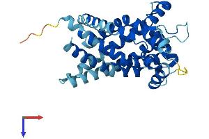 AlphaFold protein structure predicition of Human Recombinant SLC25A21 Protein, UniprotID Q9BQT8