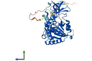 AlphaFold protein structure predicition of Human Recombinant SIRT7 Protein, UniprotID Q9NRC8