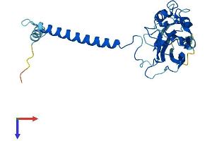AlphaFold protein structure predicition of Human Recombinant ATP1B3 Protein, UniprotID P54709