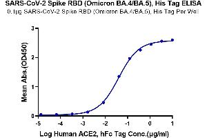 Immobilized SARS-CoV-2 Spike RBD (Omicron BA.
