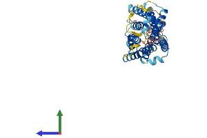 AlphaFold protein structure predicition of Human Recombinant MRGPRF Protein, UniprotID Q96AM1