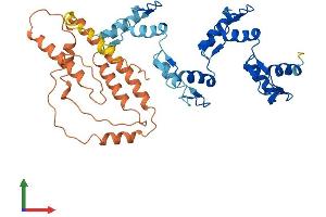 AlphaFold protein structure predicition of Human Recombinant ZFP1 Protein, UniprotID Q6P2D0 (Zfp-1 Protein (AA 1-407) (His tag))