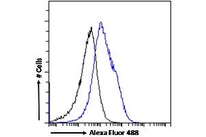 (ABIN185362) Flow cytometric analysis of paraformaldehyde fixed Jurkat cells (blue line), permeabilized with 0.