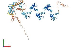 AlphaFold protein structure predicition of Human Recombinant ZNF100 Protein, UniprotID Q8IYN0