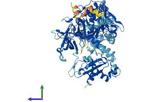 AlphaFold protein structure predicition of Human Recombinant ACSL6 Protein, UniprotID Q9UKU0