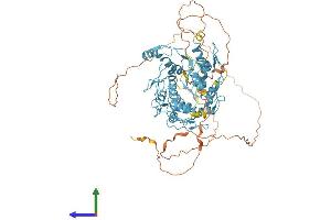 AlphaFold protein structure predicition of Human Recombinant ZFP64 Protein, UniprotID Q9NTW7