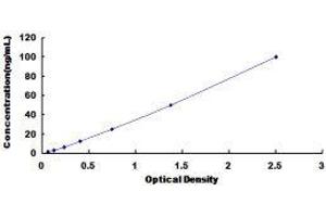 Ribonuclease, RNase A Family, 1 (Pancreatic) (RNASE1) ELISA Kit