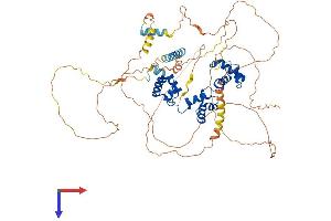AlphaFold protein structure predicition of Human Recombinant MYB Protein, UniprotID P10242