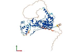 AlphaFold protein structure predicition of Mouse Recombinant Trmt6 Protein, UniprotID Q8CE96