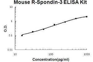 Mouse R-Spondin-3 PicoKine ELISA Kit standard curve (R-Spondin 3 Kit ELISA)