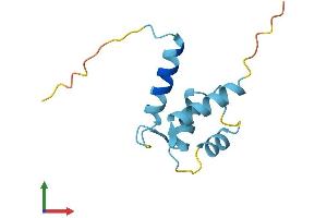 AlphaFold protein structure predicition of Human Recombinant S100A14 Protein, UniprotID Q9HCY8