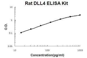 Rat DLL4 PicoKine ELISA Kit standard curve (DLL4 Kit ELISA)