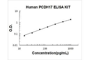 Typical Standard Curve