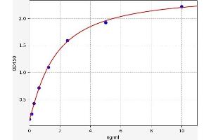 Matrix Metallopeptidase 7 (Matrilysin, Uterine) (MMP7) ELISA Kit