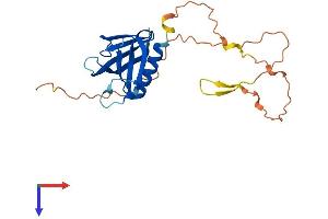 AlphaFold protein structure predicition of Human Recombinant PLEKHB2 Protein, UniprotID Q96CS7