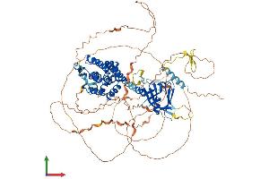 AlphaFold protein structure predicition of Mouse Recombinant Arhgef15 Protein, UniprotID Q5FWH6