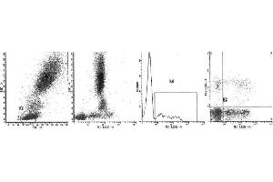 Image no. 1 for Mouse anti-Human Ig (Chain lambda), (Light Chain) antibody (FITC) (ABIN1108011) (Souris anti-Humain Ig (Chain lambda), (Light Chain) Anticorps (FITC))
