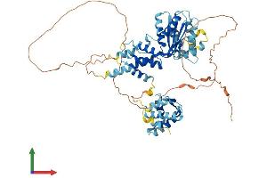 AlphaFold protein structure predicition of Mouse Recombinant Cdc6 Protein, UniprotID O89033