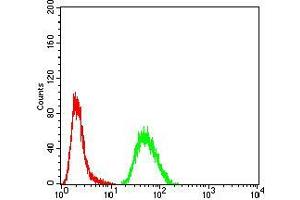 Flow cytometric analysis of A549 cells using CSF3 mouse mAb (green) and negative control (red).