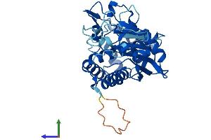 AlphaFold protein structure predicition of Human Recombinant AMZ2 Protein, UniprotID Q86W34