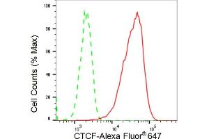 Flow cytometric analysis of CTCF expression in C2C12 cells using CTCF antibody (ABIN7797950), 1:2,000).