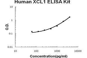 Human XCL1/Lymphotactin Accusignal ELISA Kit Human XCL1/Lymphotactin AccuSignal ELISA Kit standard curve. (XCL1 Kit ELISA)
