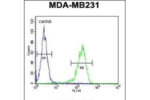 Flow cytometric analysis of MDA-MB231 cells (right histogram) compared to a negative control cell (left histogram). (14-3-3 zeta anticorps  (AA 65-93))