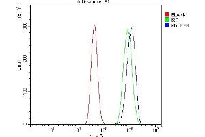 Flow Cytometry analysis of A431 cells using anti-NDUFB3 antibody (ABIN7600507).