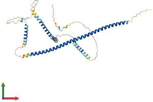 AlphaFold protein structure predicition of Mouse Recombinant Gkap1 Protein, UniprotID Q9JMB0