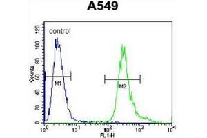 Flow cytometric analysis of A549 cells using LRRC6 Antibody (Center) Cat.