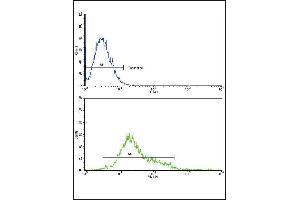 CSF1R Antibody (ABIN652364 and ABIN2841700) flow cytometric analysis of k562 cells (bottom histogram) compared to a negative control (top histogram).