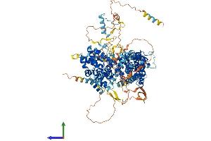 AlphaFold protein structure predicition of Mouse Recombinant Rbl1 Protein, UniprotID Q64701
