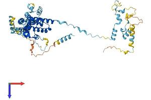 AlphaFold protein structure predicition of Human Recombinant PRPF31 Protein, UniprotID Q8WWY3