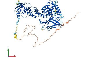 AlphaFold protein structure predicition of Human Recombinant GMCL1 Protein, UniprotID Q96IK5