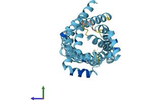 AlphaFold protein structure predicition of Mouse Recombinant Slc25a45 Protein, UniprotID Q8CFJ7