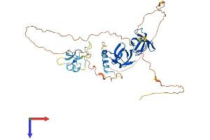 AlphaFold protein structure predicition of Human Recombinant STAC Protein, UniprotID Q99469