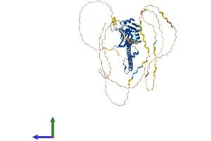 AlphaFold protein structure predicition of Mouse Recombinant Sfpq Protein, UniprotID Q8VIJ6
