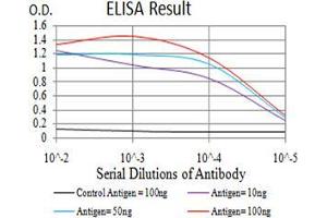 anti-DNA (Cytosine-5-)-Methyltransferase 3 alpha (DNMT3A) (AA 46-180) antibody