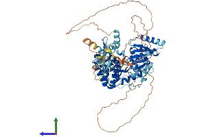 AlphaFold protein structure predicition of Human Recombinant WRNIP1 Protein, UniprotID Q96S55