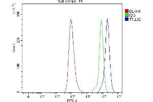 anti-Tubulin tyrosine Ligase-Like Family, Member 12 (TTLL12) (AA 8-634) antibody