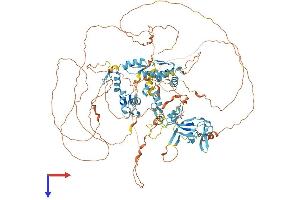 AlphaFold protein structure predicition of Mouse Recombinant Zfpm1 Protein, UniprotID O35615