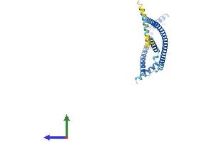 AlphaFold protein structure predicition of Human Recombinant HAUS1 Protein, UniprotID Q96CS2