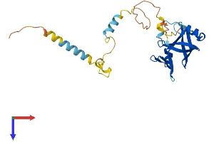 AlphaFold protein structure predicition of Human Recombinant NRIP3 Protein, UniprotID Q9NQ35
