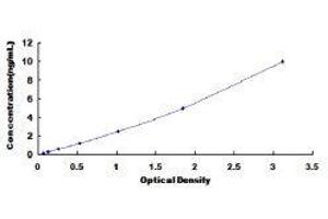 Neuronal Pentraxin 1 (NPX1) ELISA Kit