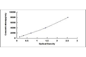 Typical standard curve (HLA-DRB1 Kit ELISA)